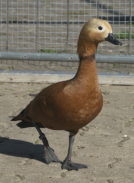 坚持