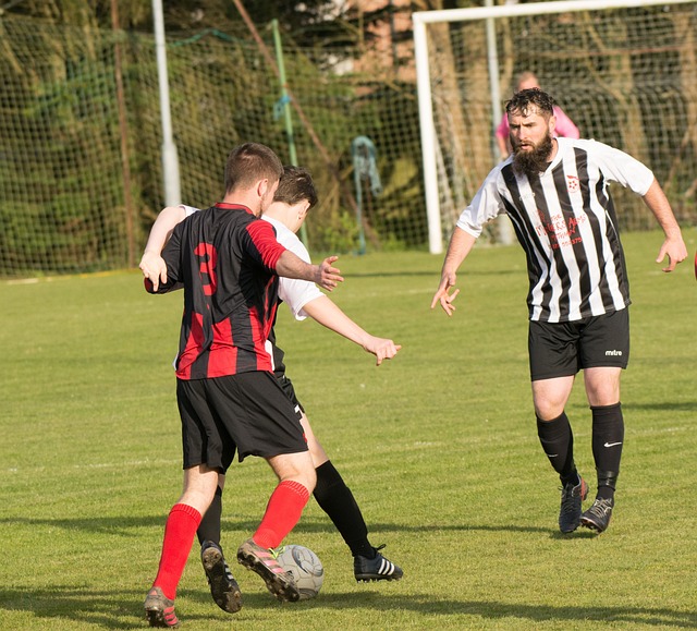 了關鍵作用 了關鍵作用