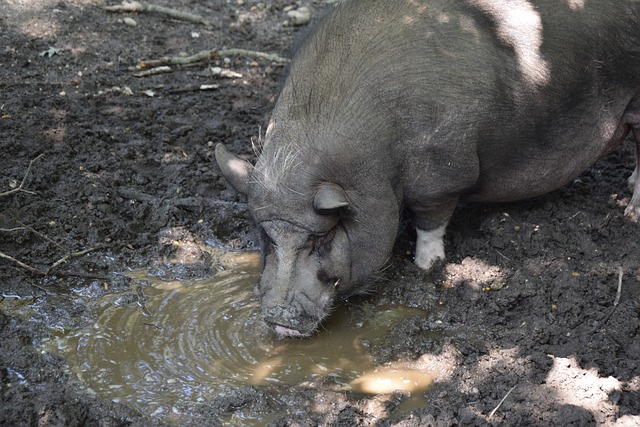 从过往战绩 从过往战绩