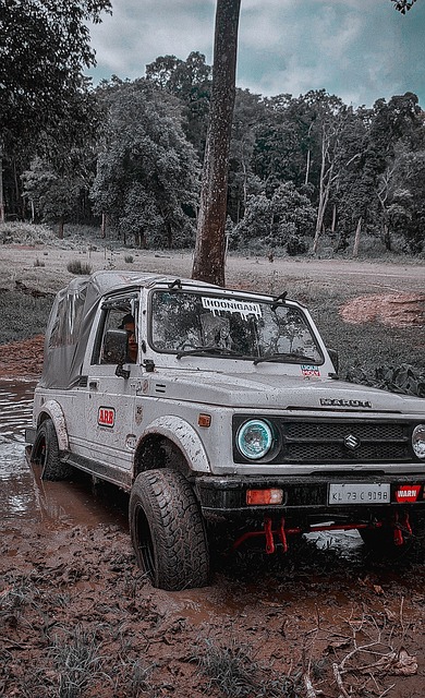 特朗普以商 特朗普以商