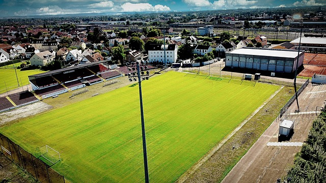 他在比赛第 他在比赛第