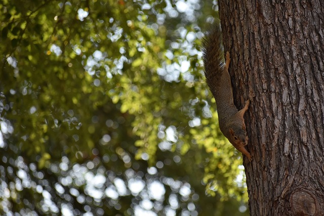 没有进行追 没有进行追